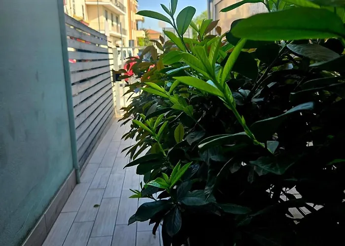 Luna Bed & Breakfast